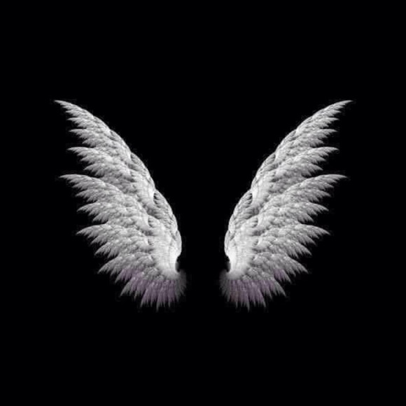 Meet your Posher, LL & Co - Picture 1 of 1